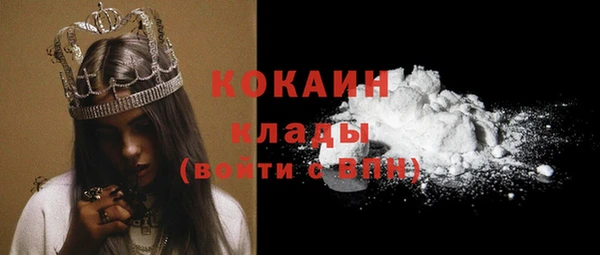 прущие грибы Балабаново