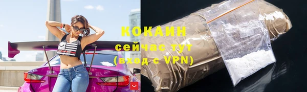 прущие грибы Балабаново