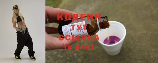 гашик Балахна