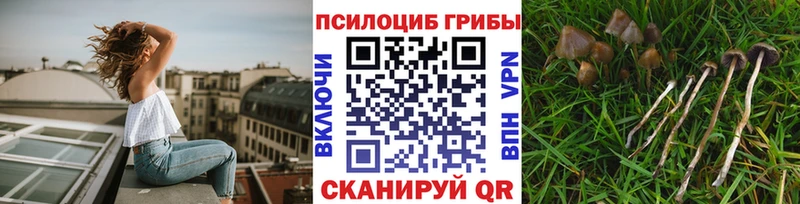 Галлюциногенные грибы прущие грибы  где купить   Борисоглебск 